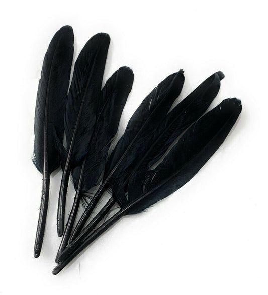 50 x Goose Feathers Pack, 10 - 15cm Arts & Crafts Fancy Dress Making Feather UK