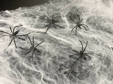Load image into Gallery viewer, Spider Web w/ 10 Spiders Halloween party Decoration Stretchy Cobweb 200 sq feet