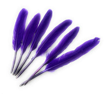 Load image into Gallery viewer, 50 x Goose Feathers Pack, 10 - 15cm Arts &amp; Crafts Fancy Dress Making Feather UK