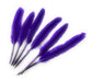 50 x Goose Feathers Pack, 10 - 15cm Arts & Crafts Fancy Dress Making Feather UK