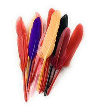 Load image into Gallery viewer, 50 x Goose Feathers Pack, 10 - 15cm Arts &amp; Crafts Fancy Dress Making Feather UK