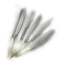 Load image into Gallery viewer, 50 x Goose Feathers Pack, 10 - 15cm Arts &amp; Crafts Fancy Dress Making Feather UK
