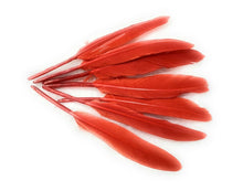 Load image into Gallery viewer, 50 x Goose Feathers Pack, 10 - 15cm Arts &amp; Crafts Fancy Dress Making Feather UK