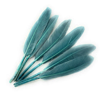 Load image into Gallery viewer, 50 x Goose Feathers Pack, 10 - 15cm Arts &amp; Crafts Fancy Dress Making Feather UK