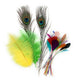 24 Mixed Feathers Pack Arts Card Wedding Craft Burlesque Peacock Ostrich Coque