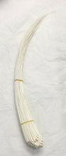 Load image into Gallery viewer, Long Single Ostrich Quill Spine Stripped Feather Hats Fascinators Millinery UK