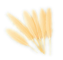 Load image into Gallery viewer, 50 x Goose Feathers Pack, 10 - 15cm Arts &amp; Crafts Fancy Dress Making Feather UK