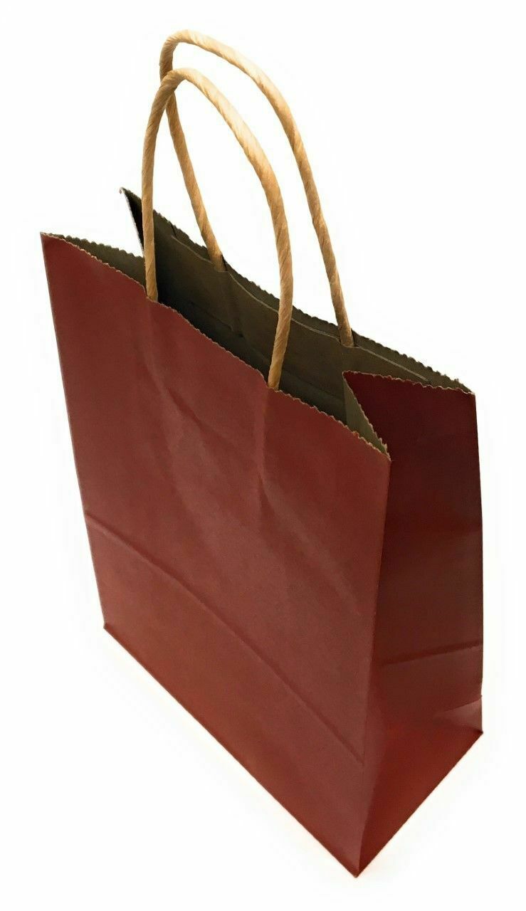 5 Mixed Color large Party Bags Kraft Paper Carrier Gift Loot Bag Twisted Handle