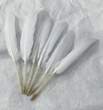Load image into Gallery viewer, 50 x Goose Feathers Pack, 10 - 15cm Arts &amp; Crafts Fancy Dress Making Feather UK