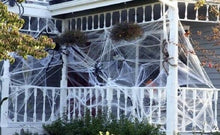 Load image into Gallery viewer, 28 pcs Mega Halloween Decoration Pack Bundle Set Buntings Spider Balloons Cobweb