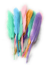 Load image into Gallery viewer, 50 x Goose Feathers Pack, 10 - 15cm Arts &amp; Crafts Fancy Dress Making Feather UK