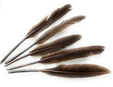 Load image into Gallery viewer, 50 x Goose Feathers Pack, 10 - 15cm Arts &amp; Crafts Fancy Dress Making Feather UK