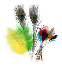 Load image into Gallery viewer, 24 Mixed Feathers – Peacock, Ostrich &amp; Coque